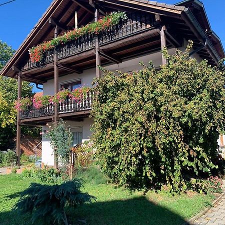 ריינהאוזן Gaestehaus Zum Rhein מראה חיצוני תמונה